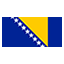 Bosnia and Herzegovina flag for body art standards
