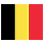 Belgium flag for body art standards