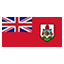 Bermuda flag for body art standards