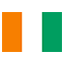 CÃ´te d'Ivoire flag for body art standards