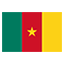 Cameroon flag for body art standards