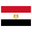 Egypt flag for body art standards