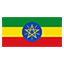 Ethiopia flag for body art standards