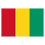 Guinea flag for body art standards