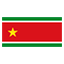 Guadeloupe flag for body art standards