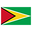 Guyana flag for body art standards
