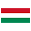 Hungary flag for body art standards