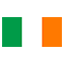Ireland flag for body art standards