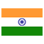 India flag for body art standards