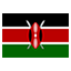 Kenya flag for body art standards