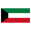 Kuwait flag for body art standards