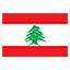 Lebanon flag for body art standards