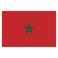 Morocco flag for body art standards
