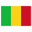 Mali flag for body art standards