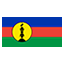 New Caledonia flag for body art standards