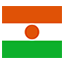 Niger flag for body art standards