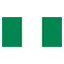 Nigeria flag for body art standards