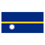 Nauru flag for body art standards