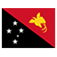 Papua New Guinea flag for body art standards