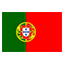 Portugal flag for body art standards
