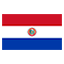 Paraguay flag for body art standards