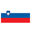 Slovenia flag for body art standards