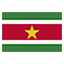 Suriname flag for body art standards