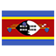Eswatini flag for body art standards