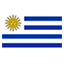 Uruguay flag for body art standards