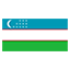 Uzbekistan flag for body art standards