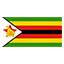 Zimbabwe flag for body art standards